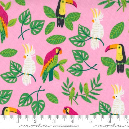 Jungle Paradise - Birds In Paradise - Pink