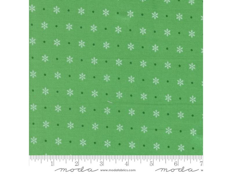 Kitty Christmas - Flurry Holly