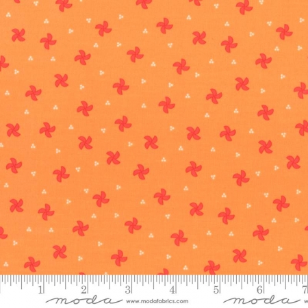 Laguna Sunrise - Orange Pinwheel