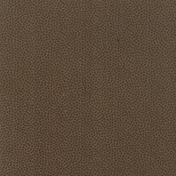 Lilac Ridge 2218-15 Small Print Brown