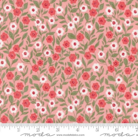 Love Blooms - Blush Cupid Floral
