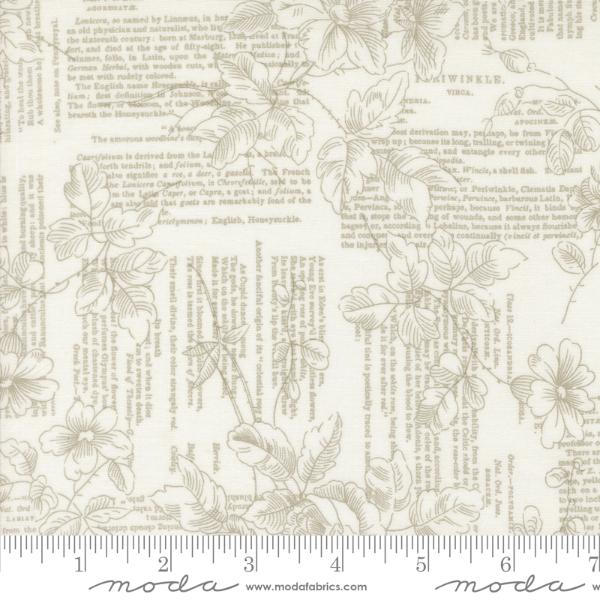 Muse - Porcelain Poetry of Flowers