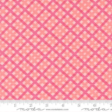 On The Bright Side - Plaid Checks and Plaids Bubble Gum