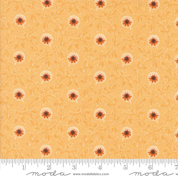 Pumpkin Spice Gatherings - Moon Beam Flowering Blooms