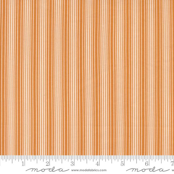 Pumpkin Spice Gatherings - Pumpkin Linen Stripe