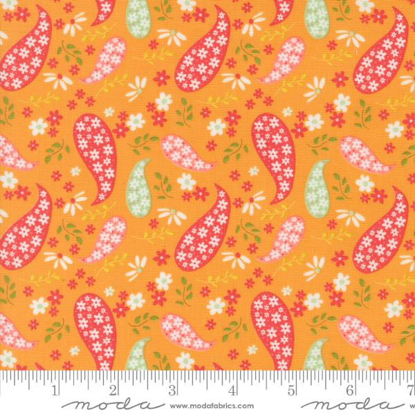 Raspberry Summer - Apricot Paisley