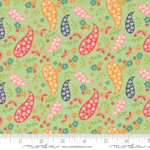 Raspberry Summer - Mint Paisley