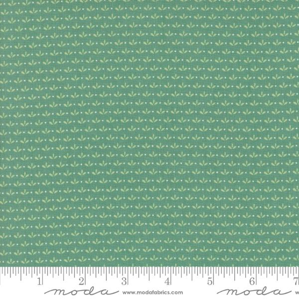 Raspberry Summer - Teal Sprout