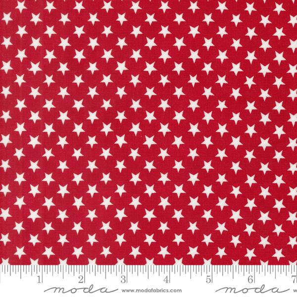 Red White and Bloom - Patriotic Poppy Stars In A Row