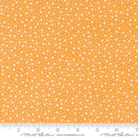 Shine - Orangesicle Love
