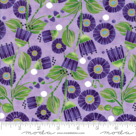 Sweet Pea Lily - Lavender - 20