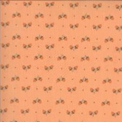 Squirrelly Girl - Apricot - More Details