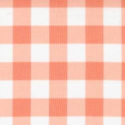 Sunwashed - Check Checks and Plaids Coral - More Details