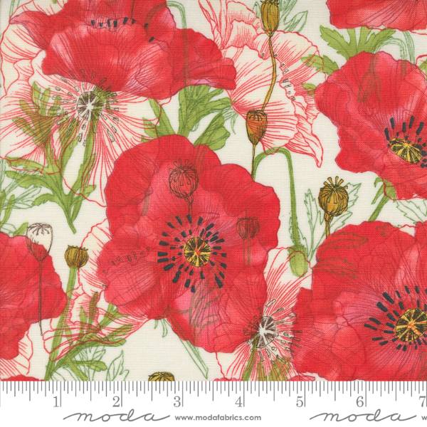 Superbloom - Cream Poppy