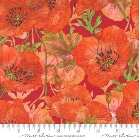 Superbloom - Geranium Poppy