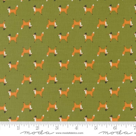 Woodland Wonder - Fern Fox Trot