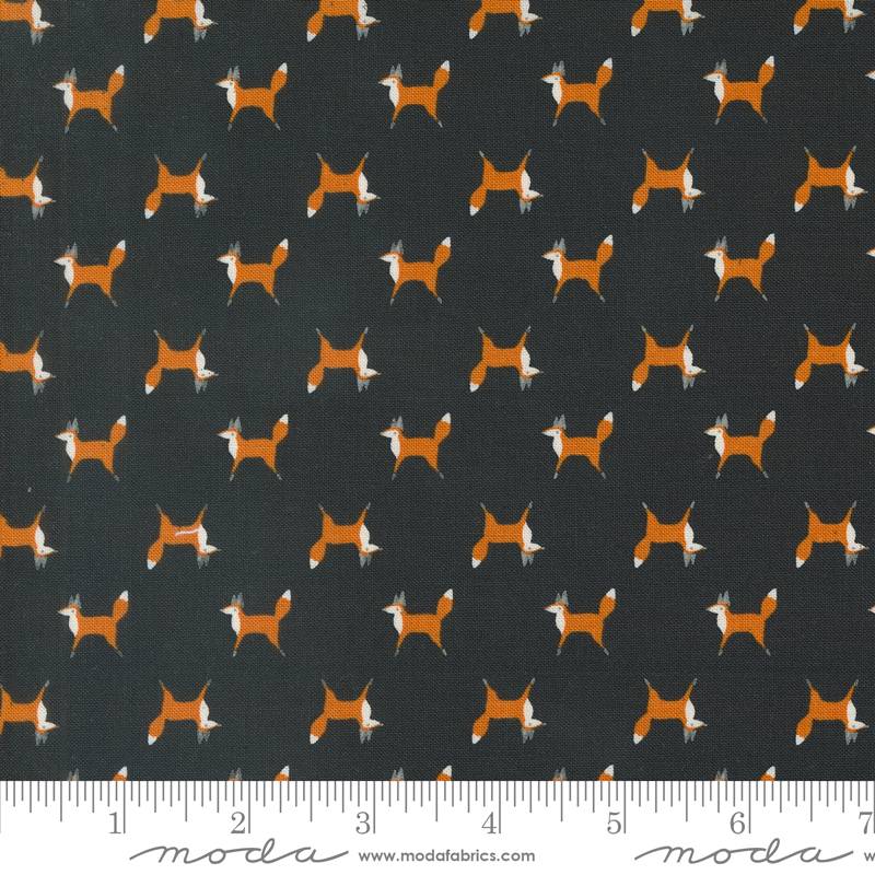 Woodland Wonder - Midnight Fox Trot