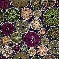 Down Under - Brown Aboriginal Sea Anemone - More Details